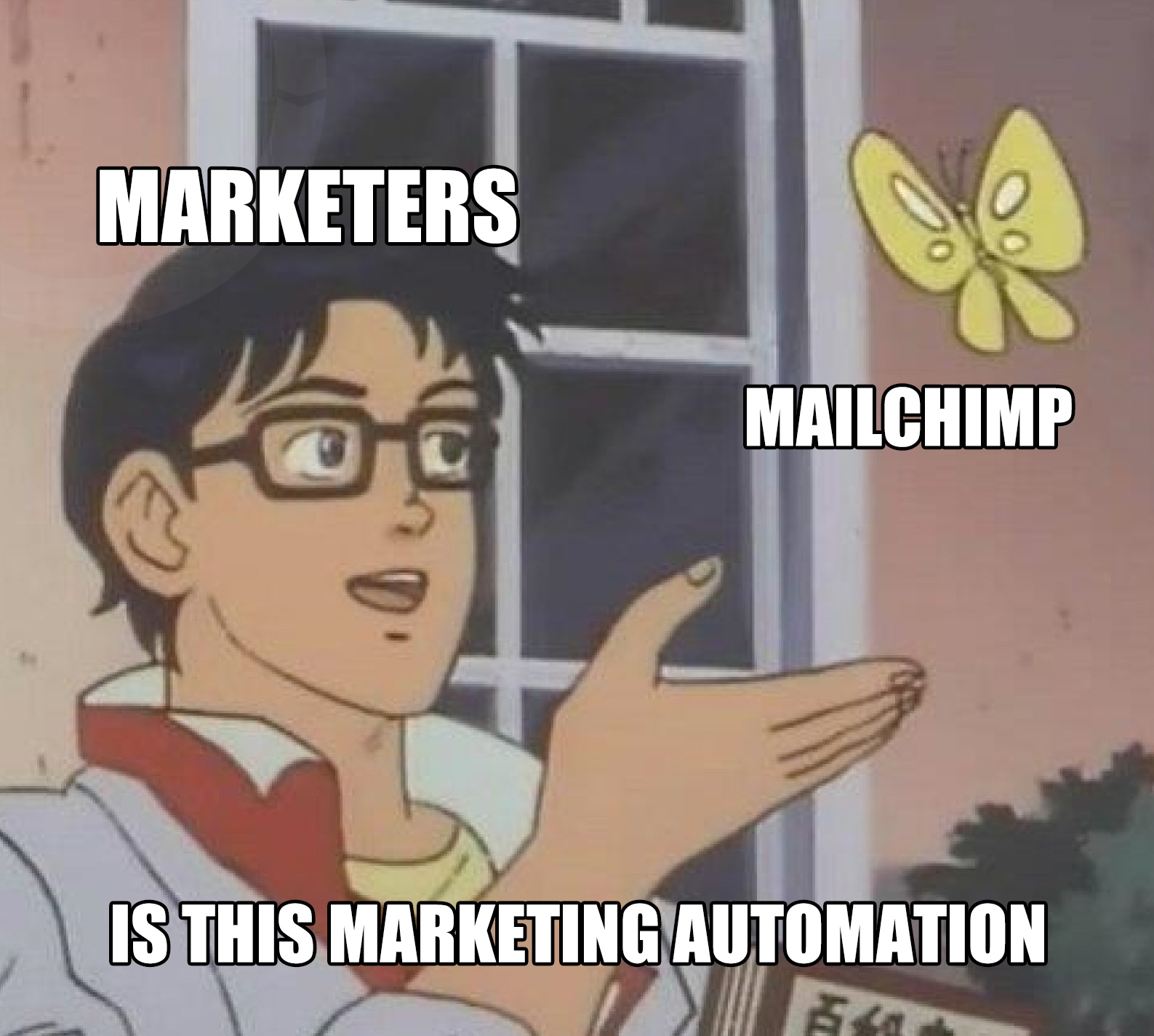 Is This A Pigeon - mailchimp