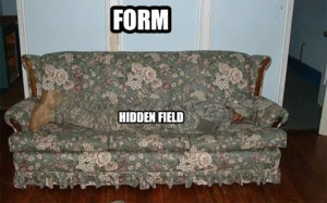 Camo meme template - hidden field on a form